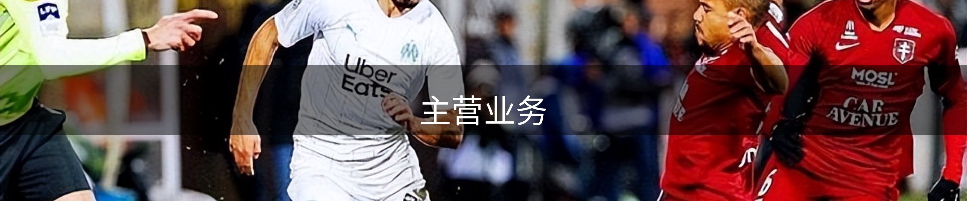 主营业务